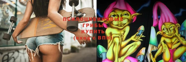 винт Абаза