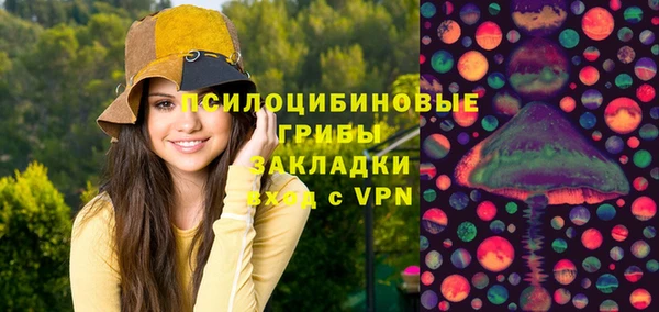 винт Абаза
