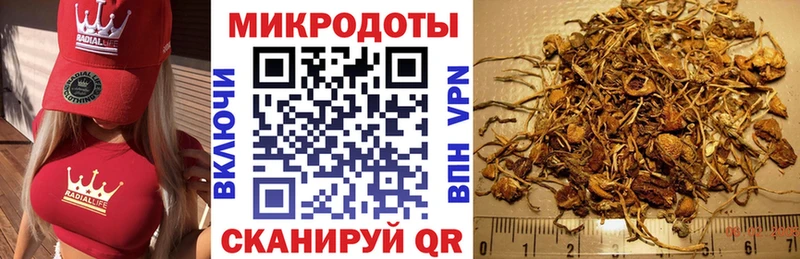 Псилоцибиновые грибы MAGIC MUSHROOMS  blacksprut как зайти  Монино 